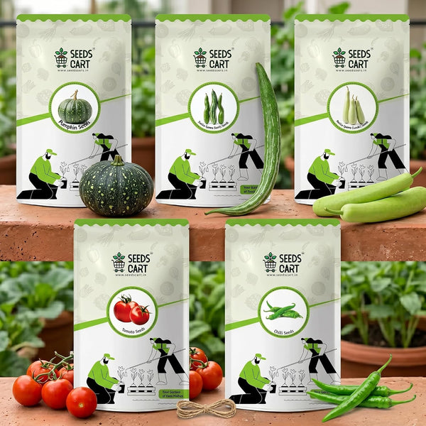 Indian Kitchen Garden Combo (Pack of 5)