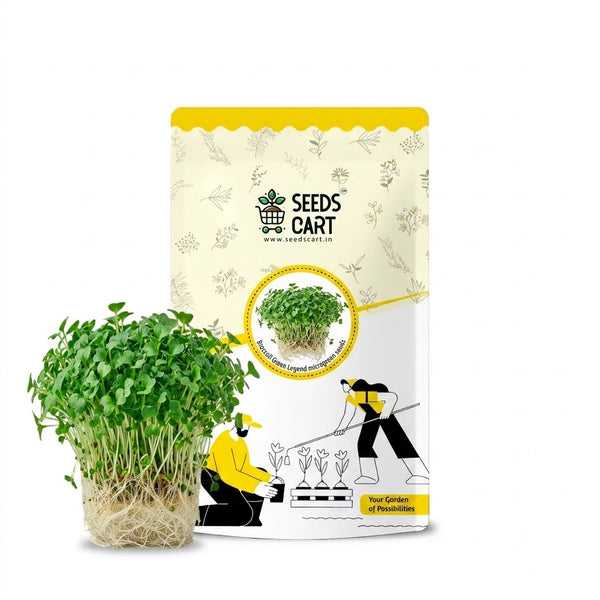 Broccoli Green Legend Microgreen Seeds