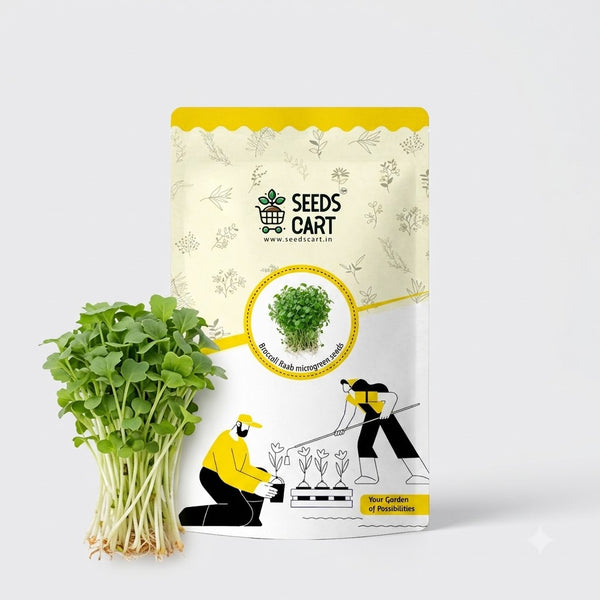 Broccoli Raab Microgreen Seeds