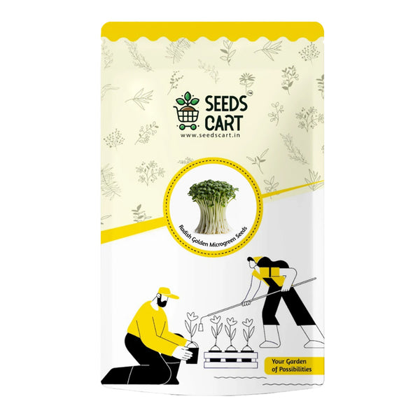 Radish Golden Microgreen Seeds — seed packet | Buy microgreens seeds India | SeedsCart