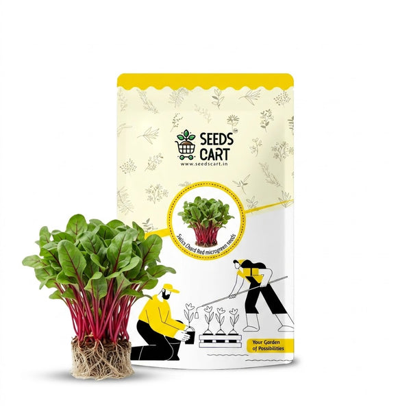 Swiss Chard Red Microgreen Seeds