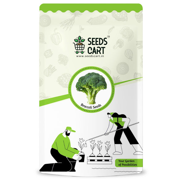 Broccoli Microgreen Seeds — seed packet | Buy microgreens seeds India | SeedsCart