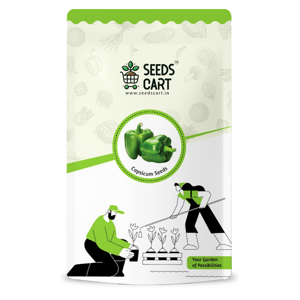Green Capsicum Seeds
