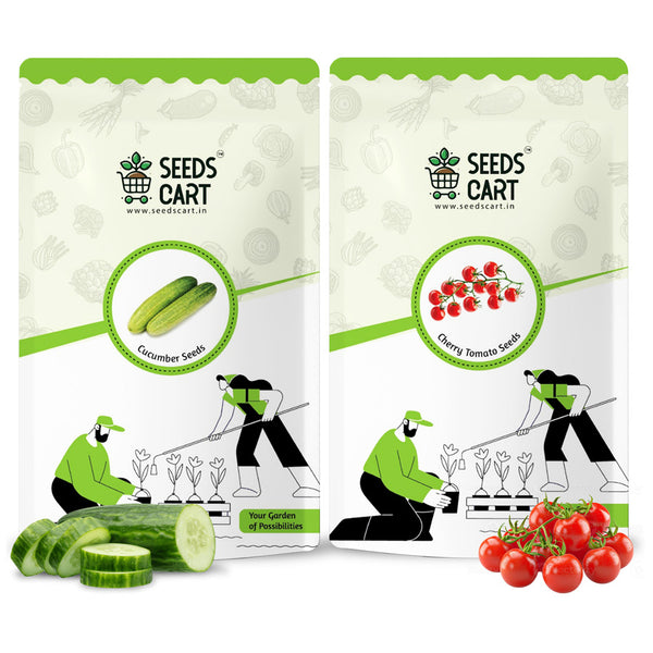 Cucumber + Cherry Tomato Combo Seeds — combo seed pack | Buy seed combo India | SeedsCart