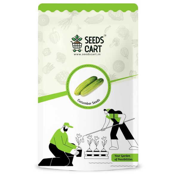 Cucumber Seeds — seed packet | Buy vegetable seeds online India | SeedsCart