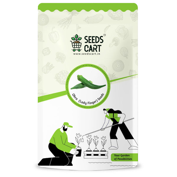 Okra Seeds — seed packet | Buy vegetable seeds online India | SeedsCart