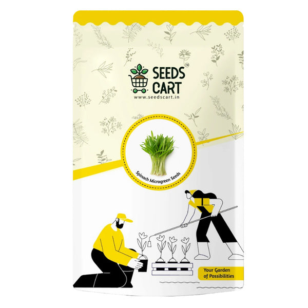 Spinach Microgreen Seeds — seed packet | Buy microgreens seeds India | SeedsCart