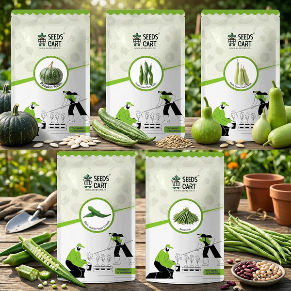 Summer Gourd & Veggie Combo (Pack of 5)