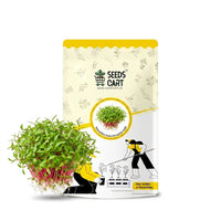 Amaranthus Green Microgreen Seeds