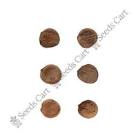 Orchid Tree — tree seeds | Agroforestry seeds India | SeedsCart