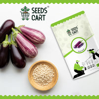 Brinjal Seeds — mature plant in pot | Kitchen garden seeds | SeedsCart
