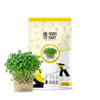 Broccoli Green Legend Microgreen Seeds