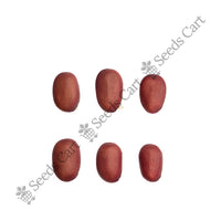 Sword Bean — mature plant in pot | Kitchen garden seeds | SeedsCart
