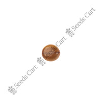 Red Shower Seeds — plant growing in garden | Non-GMO vegetable seeds | SeedsCart