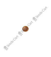 Red Shower Seeds — harvest ready plant | Grow at home India | SeedsCart