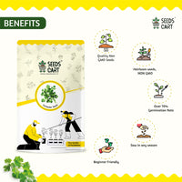 Coriander Seeds — herb plant close-up | ISF certified seeds | SeedsCart