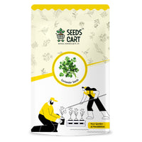 Coriander Seeds — seed packet | Buy herb seeds online India | SeedsCart
