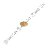 Marvel Grass — seeds close-up | High germination rate | SeedsCart