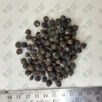 Duranta erecta Seeds (Golden Dewdrop)