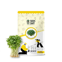 Kale Green Microgreen Seeds