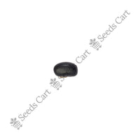 Velvet Bean — mature plant in pot | Kitchen garden seeds | SeedsCart