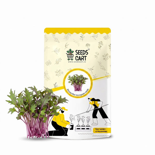 Mizuna Red Microgreen Seeds
