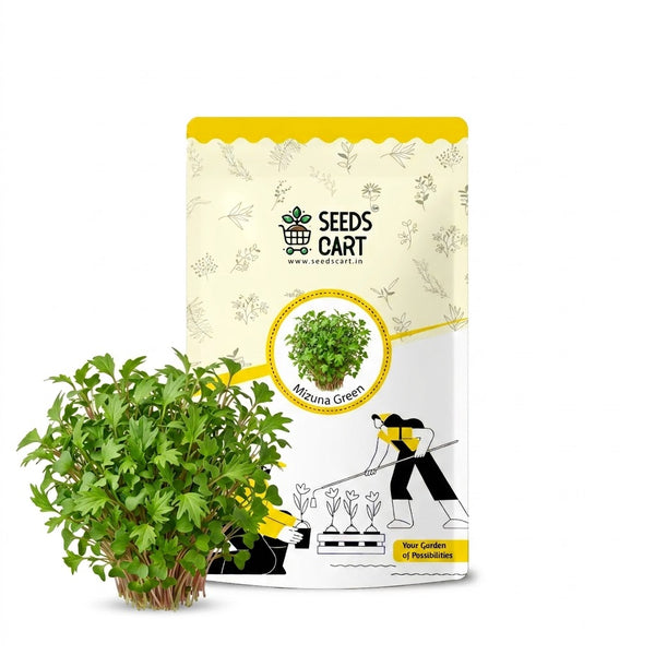 Mizuna Green Microgreen Seeds