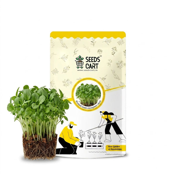 Mustard Green Microgreen Seeds