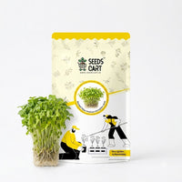 Mustard Yellow American Microgreen Seeds