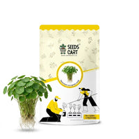 Nasturtium Microgreen Seeds
