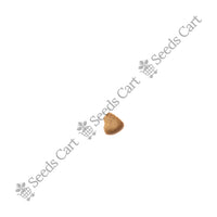 Common Guava Seeds — mature plant in pot | Kitchen garden seeds | SeedsCart