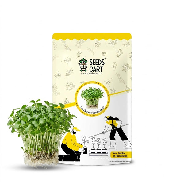 Pak Choi Green Microgreen Seeds
