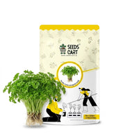 Parsley Curled Microgreen Seeds