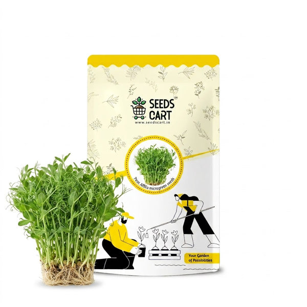 Peas Affilia Microgreen Seeds