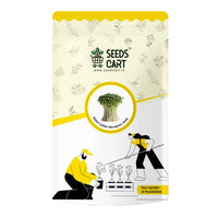 Radish Golden Microgreen Seeds — seed packet | Buy microgreens seeds India | SeedsCart