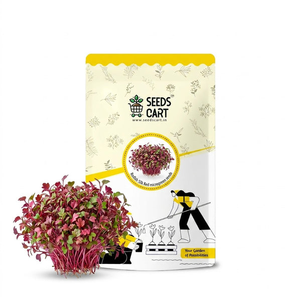 Radish Silk Red / Full Red Microgreen Seeds
