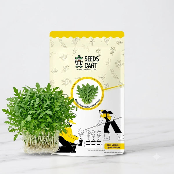 Rocket Arugula Microgreen Seeds