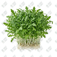 Rocket Arugula Microgreen Seeds