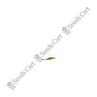 Khus-Khus Seeds — plant growing in garden | Non-GMO vegetable seeds | SeedsCart