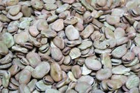 Vicia faba — harvest ready plant | Grow at home India | SeedsCart