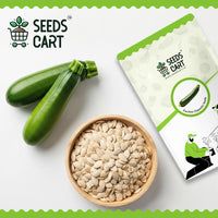 Zucchini Seeds — seeds close-up | High germination rate | SeedsCart
