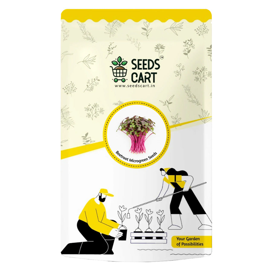 Beetroot Microgreen Seeds — seed packet | Buy microgreens seeds India | SeedsCart