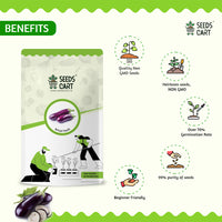 Tomato, Okra & Brinjal Combo Seeds — seed combo harvest | SeedsCart India