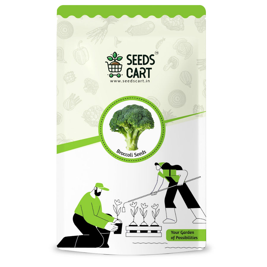 Broccoli Microgreen Seeds — seed packet | Buy microgreens seeds India | SeedsCart