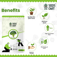 Broccoli Microgreen Seeds — microgreens tray | Non-GMO microgreens seeds | SeedsCart