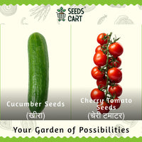 Cucumber + Cherry Tomato Combo Seeds — all included seeds | Multi-variety seed pack | SeedsCart