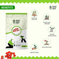 Red Cherry Tomato Seeds — seeds close-up | High germination rate | SeedsCart