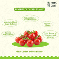 Cucumber + Cherry Tomato Combo Seeds — combo pack contents | Non-GMO seed combo | SeedsCart