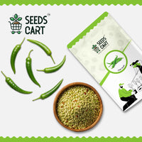 Chilli Seeds — harvest ready plant | Grow at home India | SeedsCart