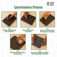 8-in-1 Vegetable Seeds Combo — seed combo harvest | SeedsCart India